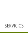 Servicios Profesionales